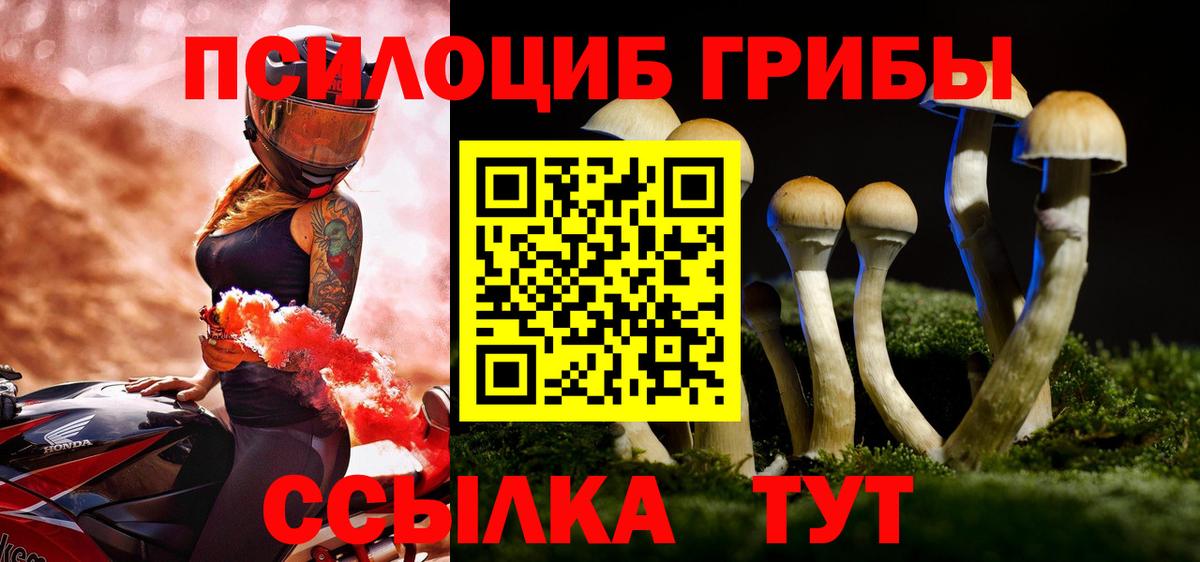 Галлюциногенные грибы Psilocybine cubensis  Вход с VPN  Казань 